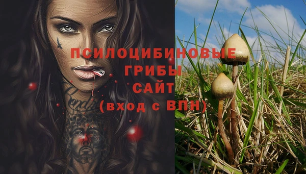 хмурый Арсеньев