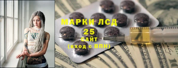 хмурый Арсеньев