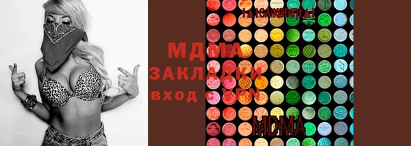 хмурый Арсеньев