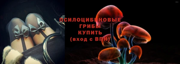хмурый Арсеньев