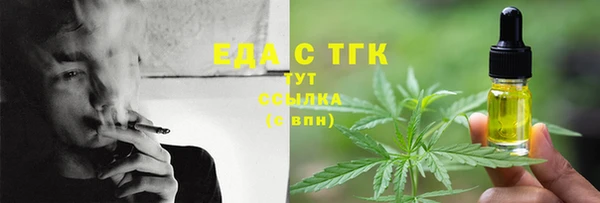 хмурый Арсеньев