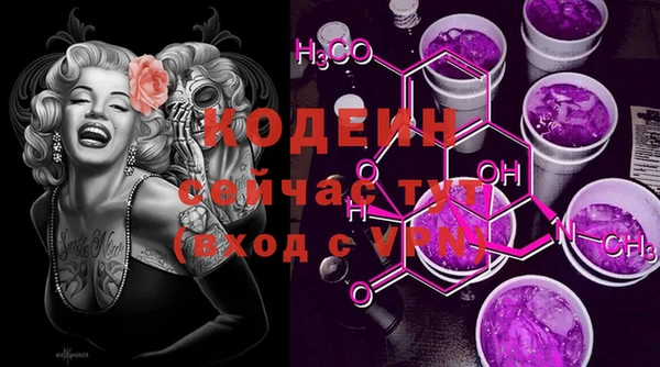 хмурый Арсеньев