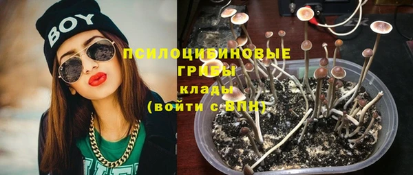 хмурый Арсеньев