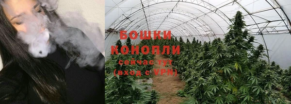 хмурый Арсеньев