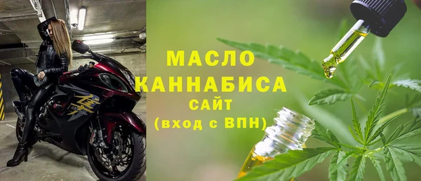 хмурый Арсеньев