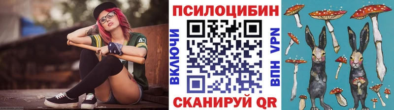 Псилоцибиновые грибы Magic Shrooms  Купить закладки  Богородицк 